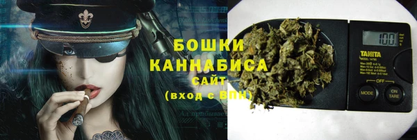 соль ск Касимов