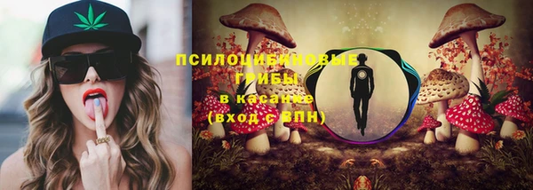 соль ск Касимов