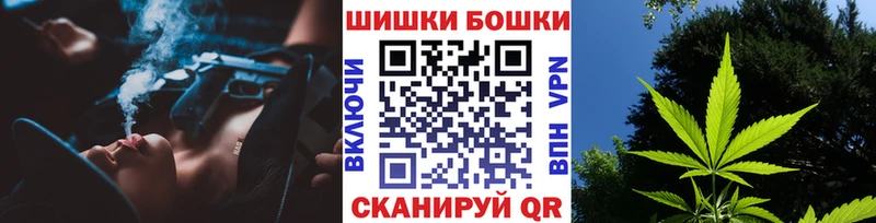 Бошки марихуана AK-47  Купить закладки  Шарья 